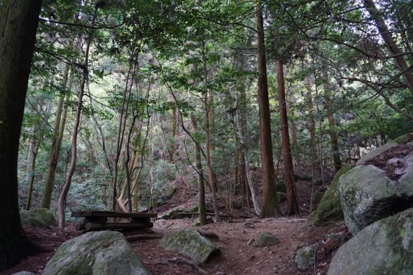 Japan, Miyajima: Wanderweg Mount Misen, Bank