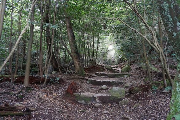 Japan, Miyajima: Wanderweg durch den Wald zum Mount Misen