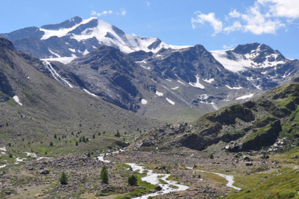 Klimawandel in den Alpen: 2019